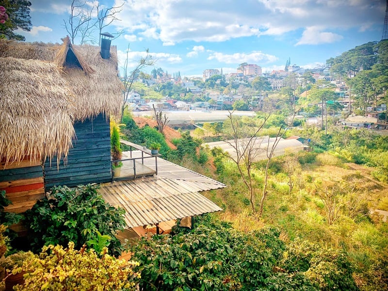 Homestay Đà Lạt view đẹp The Wilder-nest