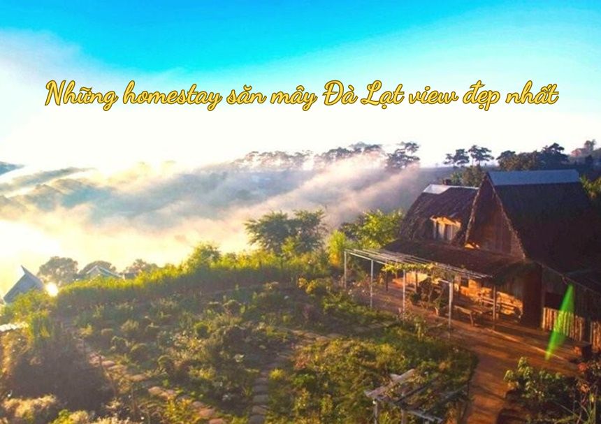 Top homestay săn mây Đà Lạt view đẹp nhất