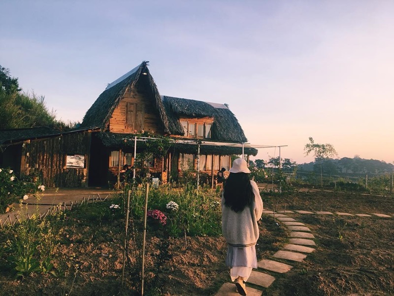 Bình Yên House - Homestay săn mây Đà Lạt