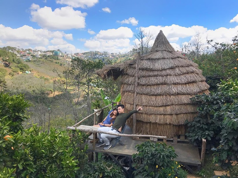 Cú Trên Cây - Homestay săn mây Đà Lạt