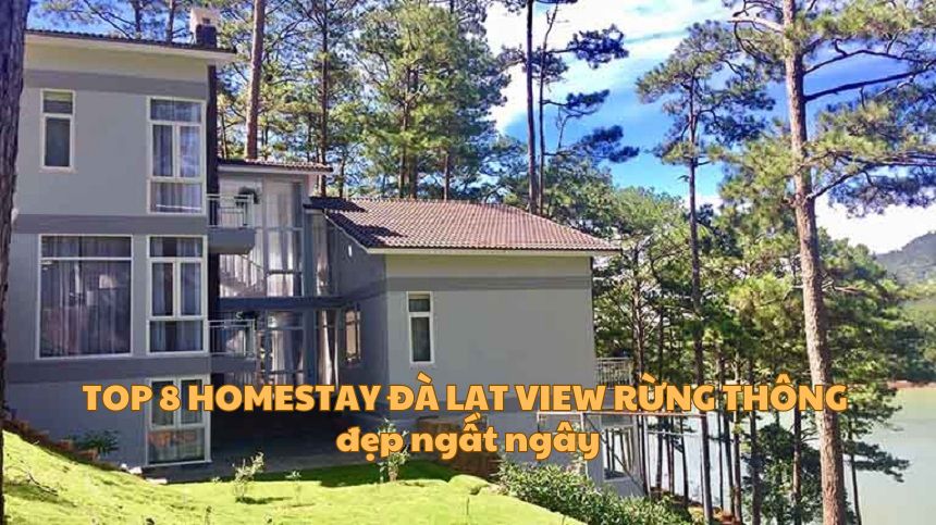 Top 8 homestay Đà Lạt view rừng thông đẹp ngất ngây