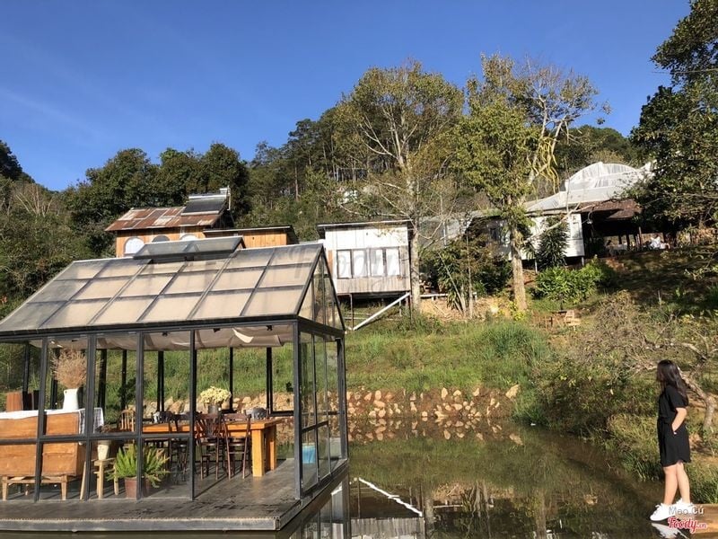 Homestay Đà Lạt view rừng thông - The WilderNest Da Lat