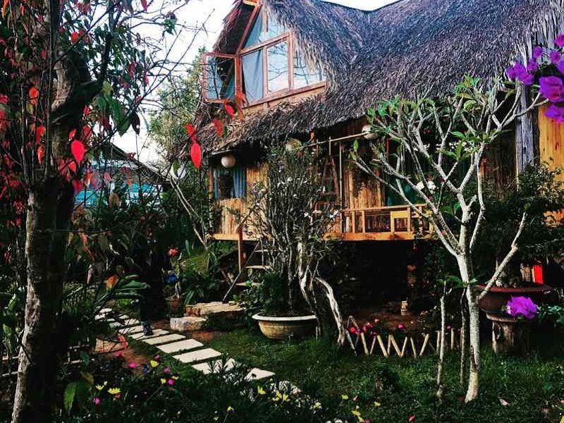 Củi homestay giá rẻ