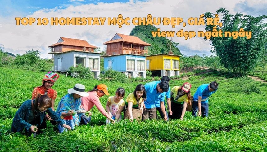 Top 10 homestay Mộc Châu đẹp, giá rẻ, view đẹp ngất ngây