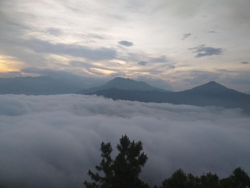 A Tài Homestay