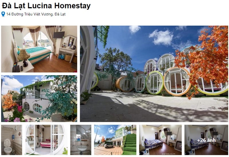 Đà Lạt Lucina là địa chỉ homestay Đà Lạt giá rẻ cho 2 người rất được yêu thích.