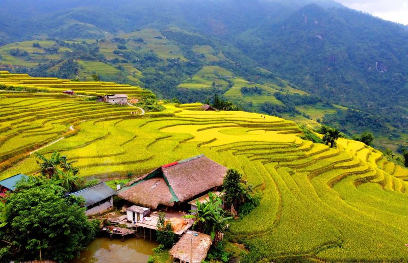 Hà Giang tuyệt đẹp như tranh vẽ vào mùa thu lúa chín