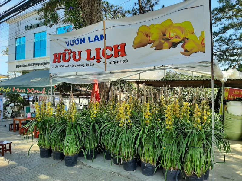 Vườn lan Hữu Lịch tọa lạc tại con đường sầm uất Hùng Vương và cách ga Đà Lạt khoảng 3 km