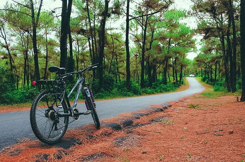 Trải nghiệm leo núi Cô Tô.