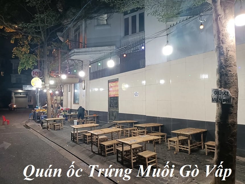 Menu Ốc Trứng Muối Gò Vấp, review quán ốc ngon ở Gò Vấp.