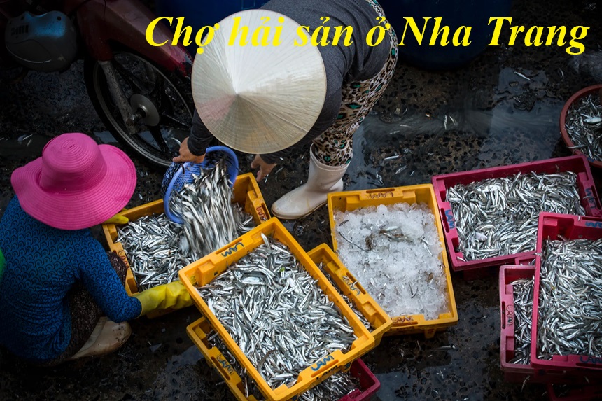 Địa chỉ chợ hải sản Nha Trang không chặt chém, hải sản tươi.